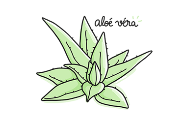 masque beaute aloevera