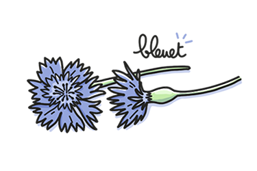 masque beaute bleuet