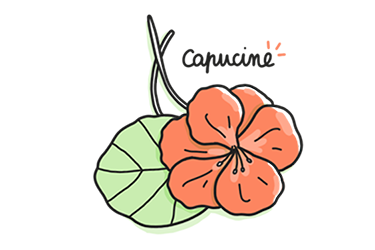 masque beauté capucine