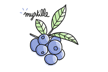 masque beaute myrtille