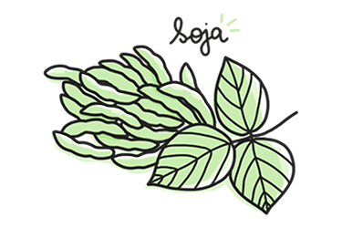 masque beaute soja