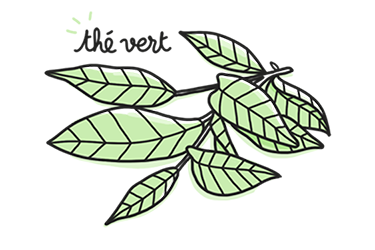 masque beaute thevert